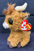 Alfie the Highland Cow Beanie Boo