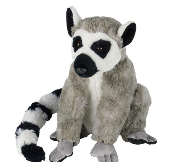 Ring Tail Lemur