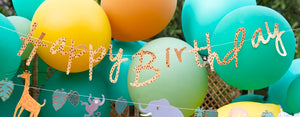 Safari Happy Birthday Banner Set