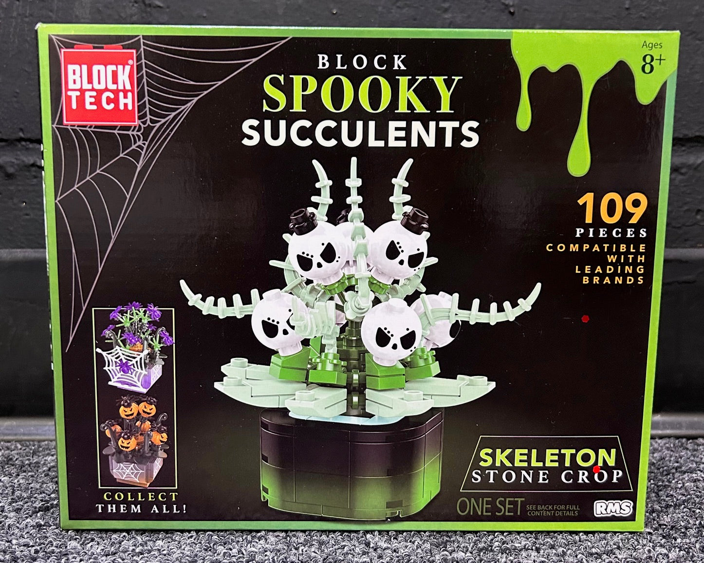Skeleton Stone Crop Block Spooky Succulents