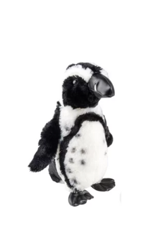 Black Foot Penguin Plush