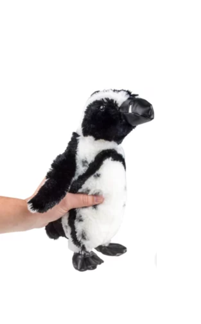 Black Foot Penguin Plush