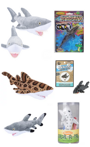 Shark Gift Pack