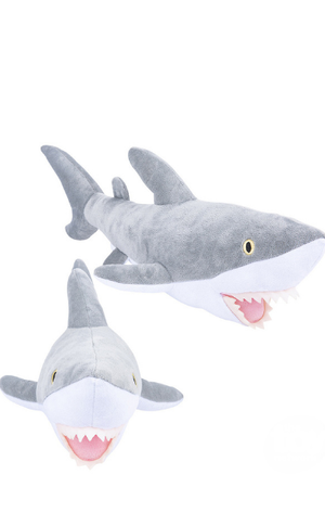 Shark Gift Pack